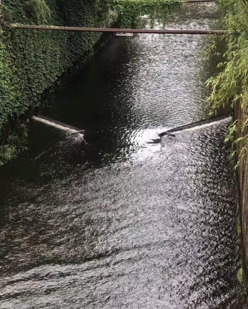 177606401470206.jpg 无堰槽超声波明渠流量计测量非标的挡水坝出水口流量_副本.jpg