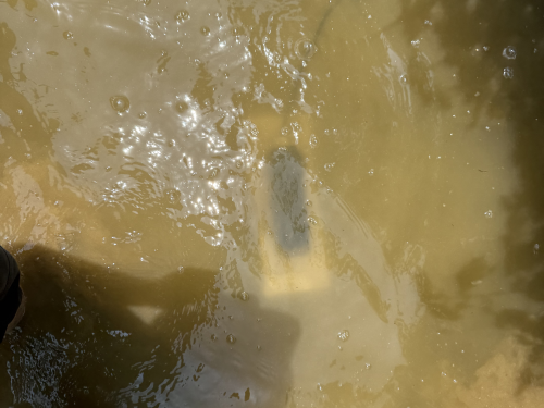 179265586255029.png 图片8.png